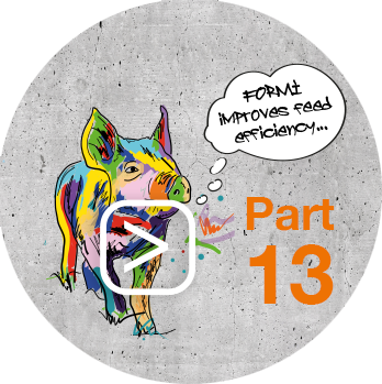 Feed_Efficiency_mit_Play_Button_Part13_Schwein.png